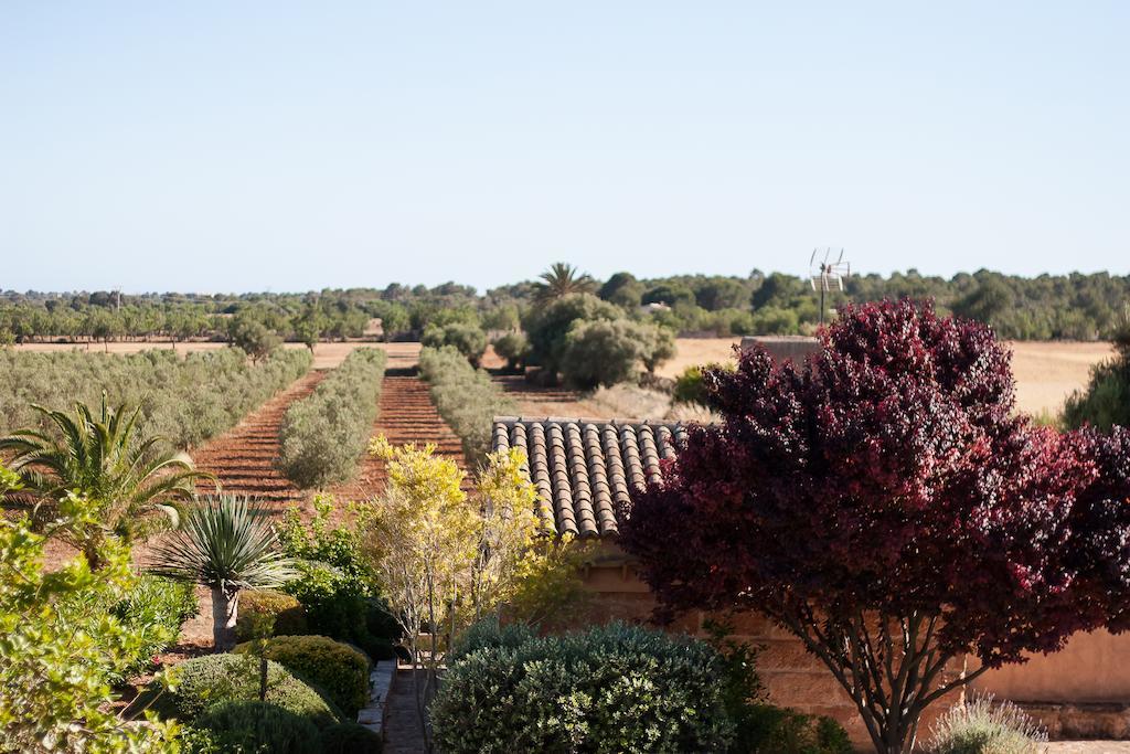 كامبوس Finca Agroturismo Can Carro المظهر الخارجي الصورة